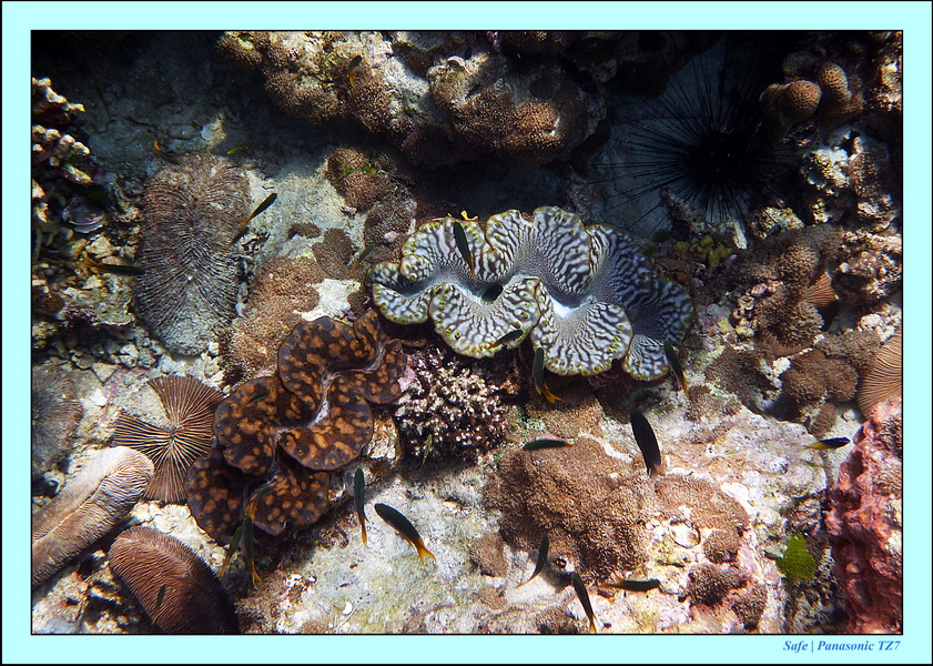 2011 - 03 - Koh Rok 17